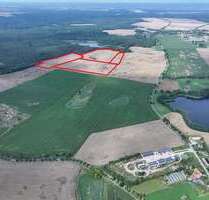 Grundstück in Müncheberg Obersdorf 164.900,00 € 244033 m² - Müncheberg / Obersdorf