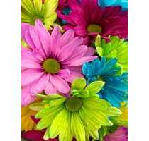 Einzelhandel in Preungesheim 850,00 € 90 m²