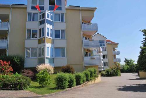 Foto - Wohnung zum Mieten in Neubrandenburg 346,00 € 43 m²