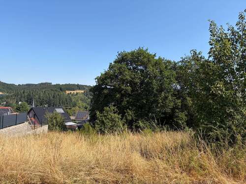 Foto - Grundstück zu verkaufen in Hellenthal 59.000,00 € 512 m²