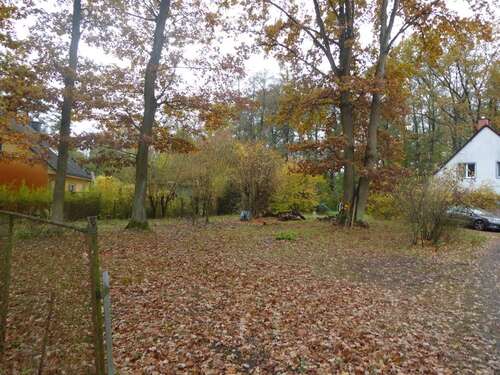 Foto - Grundstück zu verkaufen in Altlandsberg 200.000,00 € 626 m²