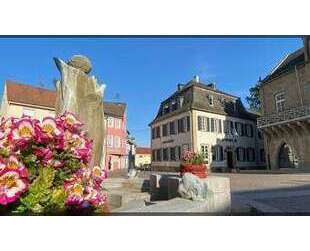 Gastronomie in Bad Sobernheim 798.000,00 € 519.74 m²