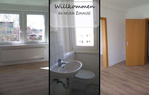 Foto - Wohnung zum Mieten in Chemnitz 255,00 € 46.36 m²