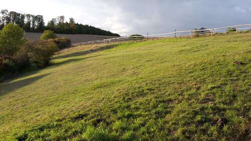 Foto - Grundstück zu verkaufen in Willebadessen 80.000,00 € 6979 m²