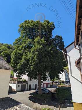 Foto - Haus zum Kaufen in Sauerthal 99.000,00 € 100 m²