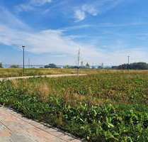 Grundstück zu verkaufen in Klütz OT Wohlenberg 209.000,00 € 598 m²