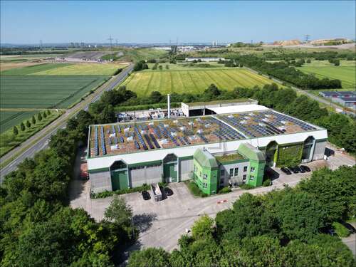 Foto - Halle in Flörsheim 10.350,00 € 1540 m²