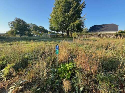 Foto - Grundstück zu verkaufen in Neuendorf 151.000,00 € 604 m²