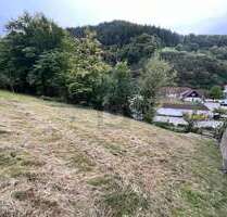 Grundstück zu verkaufen in Weisenbach 75.000,00 € 363 m²