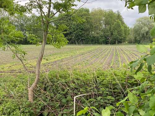 Foto - Spezialgewerbe in Ismaning 159.000,00 € 0 m²