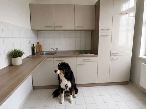 Foto - Wohnung zum Mieten in Chemnitz 276,00 € 46 m²