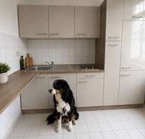 Wohnung zum Mieten in Chemnitz 276,00 € 46 m²