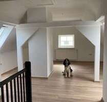 Wohnung zum Mieten in Lengenfeld 253,00 € 46 m²