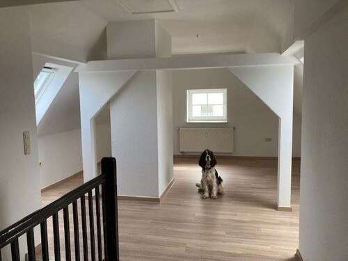 Foto - Wohnung zum Mieten in Lengenfeld 253,00 € 46 m²