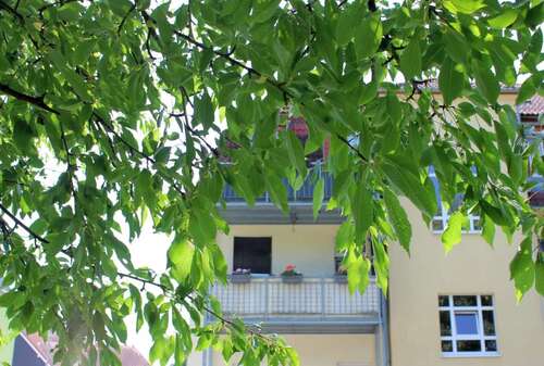 Foto - Wohnung zum Kaufen in Freital 128.000,00 € 63 m²