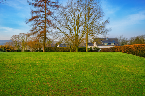 Foto - Grundstück zu verkaufen in Odenthal 1.420.000,00 € 4720 m²