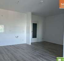 Wohnung zum Mieten in Velbert 330,00 € 33 m²