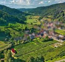 Spezialgewerbe in Sulz am Neckar 790.000,00 € 904 m²