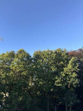 Foto - Wohnung zum Mieten in Hamburg 1.439,00 € 51.38 m²