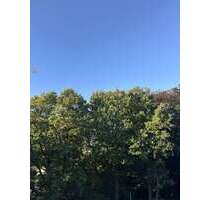 Wohnung zum Mieten in Hamburg 1.439,00 € 51.38 m²