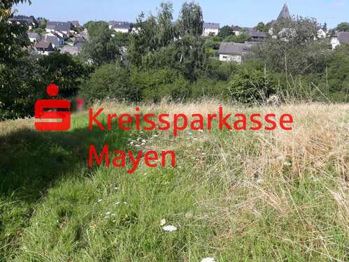 Foto - Grundstück zu verkaufen in Laubach 79.000,00 € 1575 m²