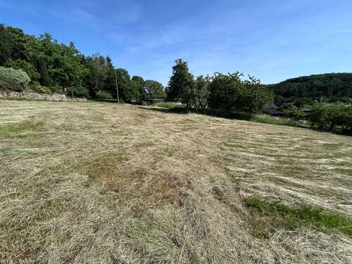 Foto - Grundstück zu verkaufen in Oberhosenbach 66.000,00 € 880 m²
