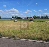 Grundstück zu verkaufen in Berkheim 170.000,00 € 579 m²