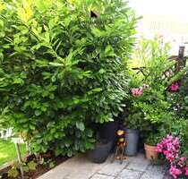 Haus zum Kaufen in Weinstadt 450.000,00 € 116 m²