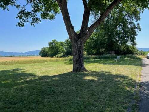 Foto - Haus zum Kaufen in Edingen-Neckarhausen 659.000,00 € 255 m²