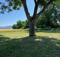 Haus zum Kaufen in Edingen-Neckarhausen 659.000,00 € 255 m²