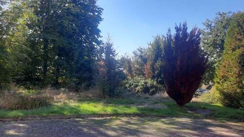 Foto - Grundstück zu verkaufen in Waldbröl 120.000,00 € 882 m²