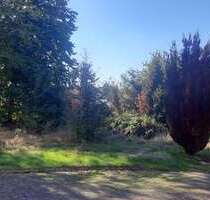 Grundstück zu verkaufen in Waldbröl 120.000,00 € 882 m²