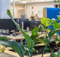 Büro in Köln 350,00 € 8 m² - 350,00 EUR Kaltmiete, ca.  8,00 m² in Köln (PLZ: 50933)