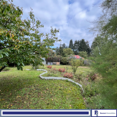 Foto - Grundstück zu verkaufen in Berlin 249.000,00 € 450 m²