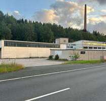 Halle in Muldenhammer 295.000,00 € 6403 m²