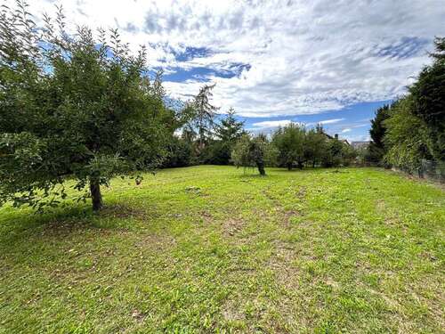 Foto - Grundstück zu verkaufen in Müllheim 420.000,00 € 975 m²