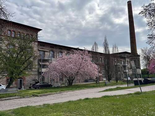 Foto - Wohnung zum Mieten in Calbe 300,00 € 43.32 m²