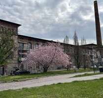 Wohnung zum Mieten in Calbe 300,00 € 43.32 m²