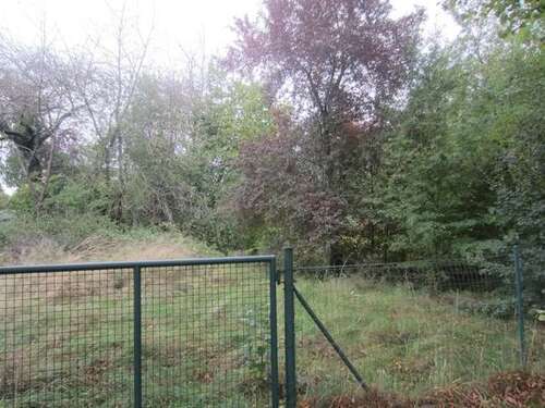 Foto - Grundstück zu verkaufen in Langquaid 495.000,00 € 1192 m²