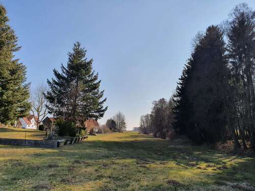 Foto - Grundstück zu verkaufen in Mittelstetten 479.000,00 € 559 m²