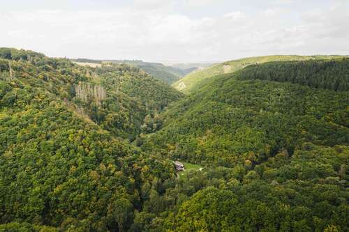 Foto - Haus zum Kaufen in Beulich 549.000,00 € 210 m²