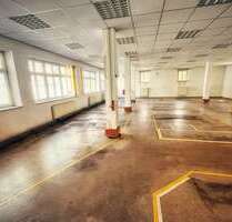 Büro in Torgau 1.250,00 € 250 m²
