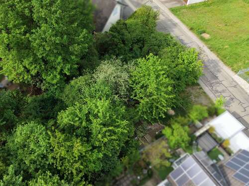 Foto - Grundstück zu verkaufen in Helmstadt-Bargen 93.000,00 € 580 m²