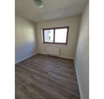 Wohnung zum Mieten in Dresden 314,00 € 20 m²