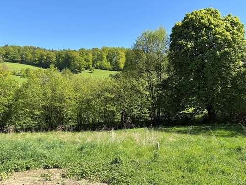 Foto - Grundstück zu verkaufen in Seeheim Jugenheim 449.900,00 € 1333 m²