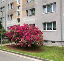 Wohnung zum Mieten in Hermsdorf 270,00 € 46.4 m²