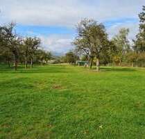 Grundstück zu verkaufen in Wetter (Hessen) 95.000,00 € 11279 m²