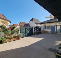 Haus zum Kaufen in Wallertheim 568.000,00 € 256 m²