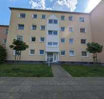Wohnung zum Kaufen in Lotte 215.000,00 € 82.5 m²