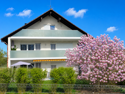 Foto - Haus zum Kaufen in Schöllkrippen 649.000,00 € 316 m²